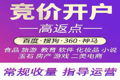 百度推广成功案例：关键词排名快速提升